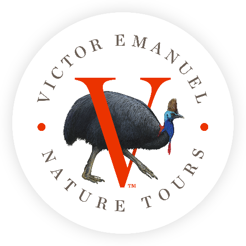 VENT Logo