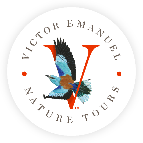 VENT Logo