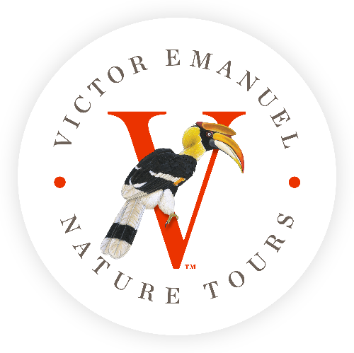 VENT Logo