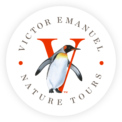 VENT Logo