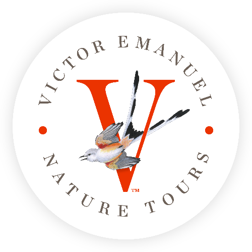 VENT Logo