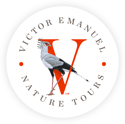 VENT Logo