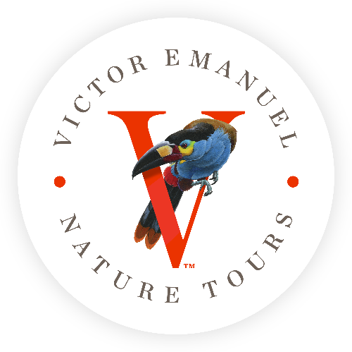 VENT Logo
